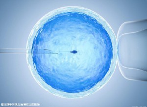 陳明瑜